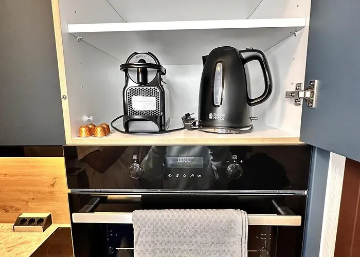 City Apartment Bad Aussee 公寓 *