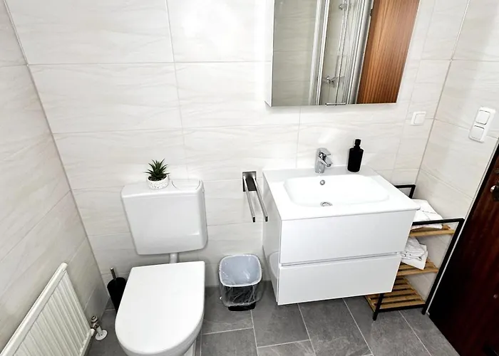 City Apartment Bad Aussee 公寓 巴特奥塞