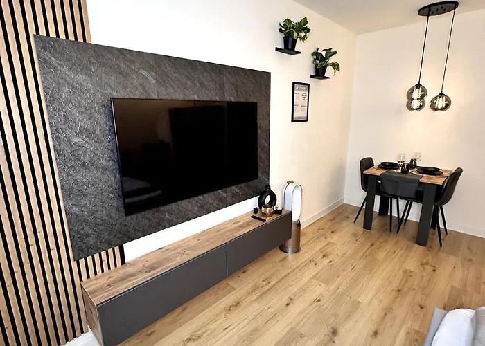 City Apartment Bad Aussee 巴特奥塞