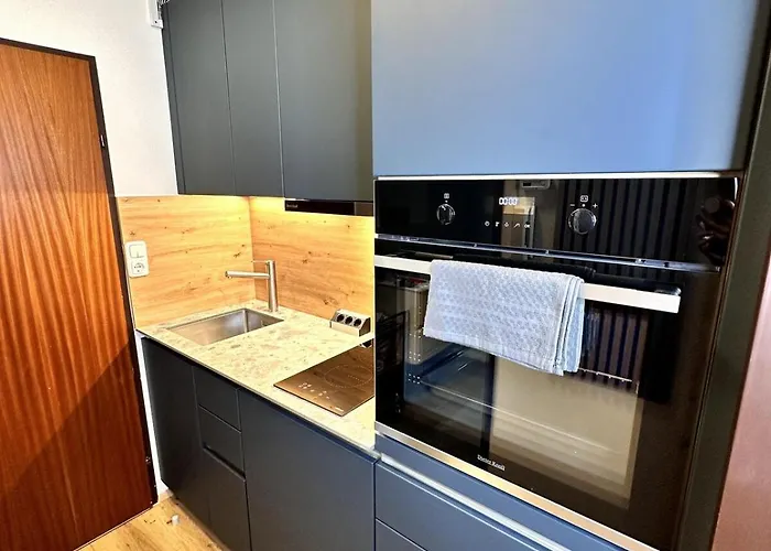 公寓 City Apartment Bad Aussee 巴特奥塞